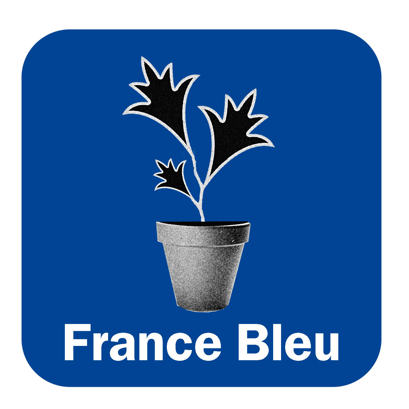 France bleu