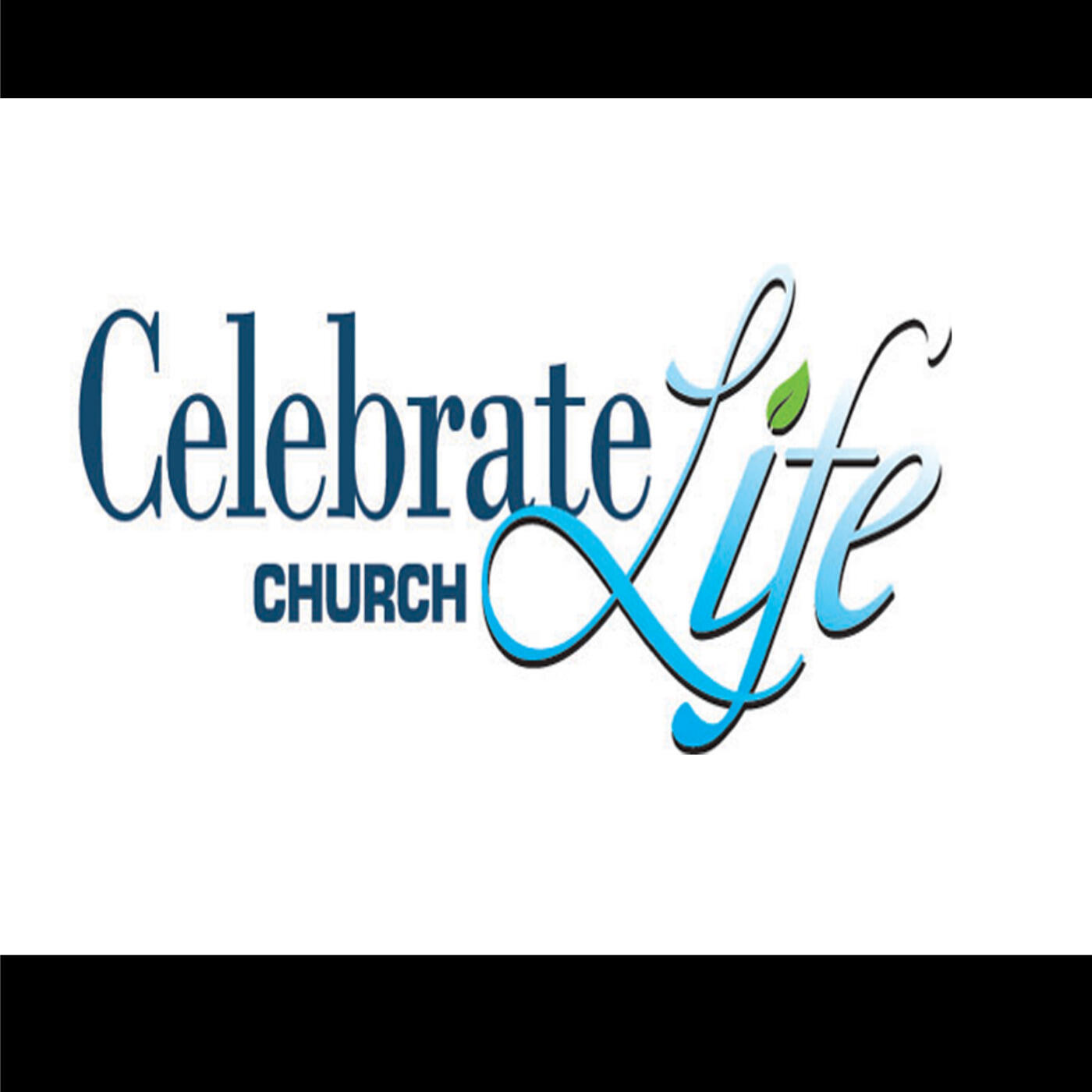 We celebrate life. Celebrate Life перевод.