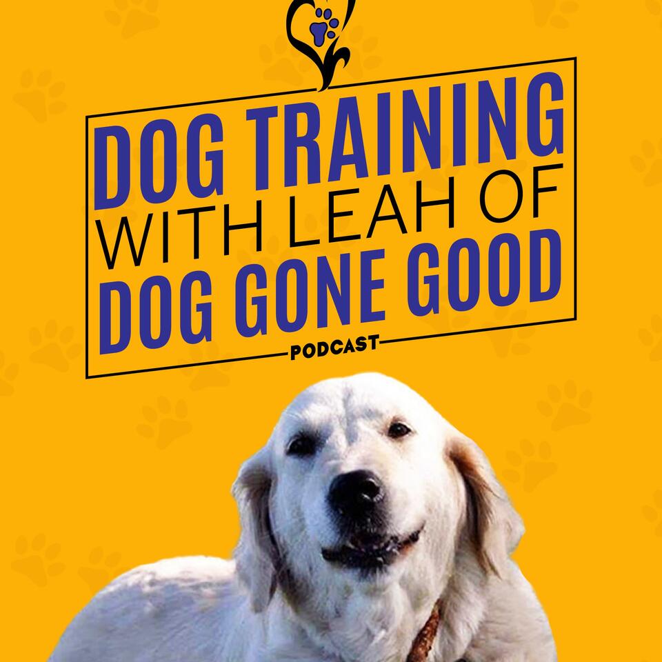 Dog Training with Leah of Dog Gone Good