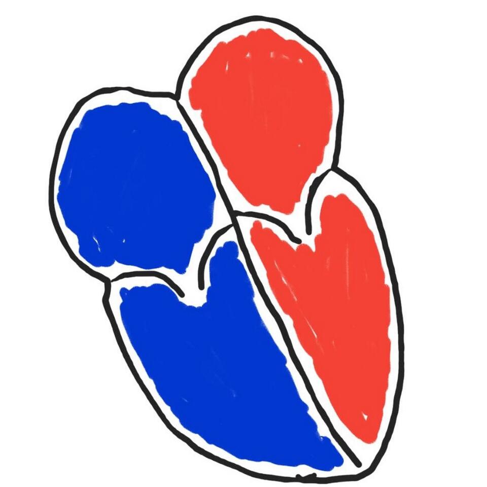 Podcasts – Deconstructed Cardiology