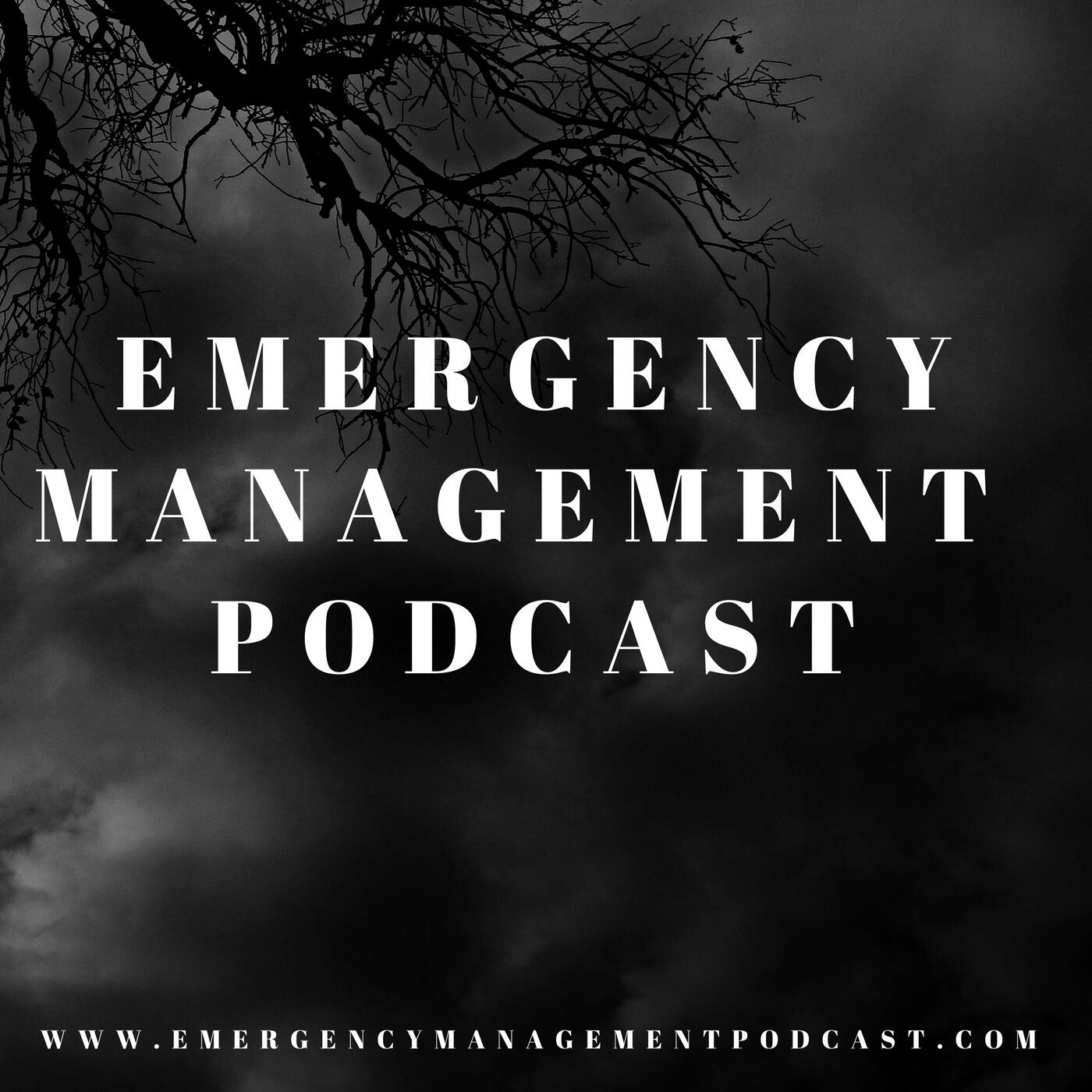 What Is The Role Of The Emergency Management Committee