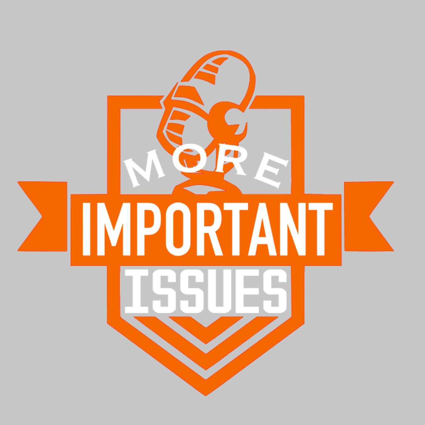 Import issue. Important Issue
