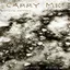 Carry Me (2012 Allen Simans Club Mix) album artwork