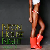 Image of Neon House Night, Vol. 3