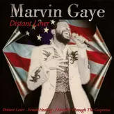 Image of Distant Lover