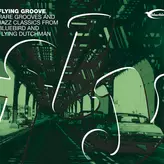 Image of Flying Groove