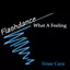 Flashdance...What A Feeling