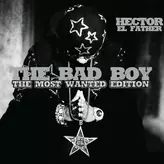 Image of The Bad Boy