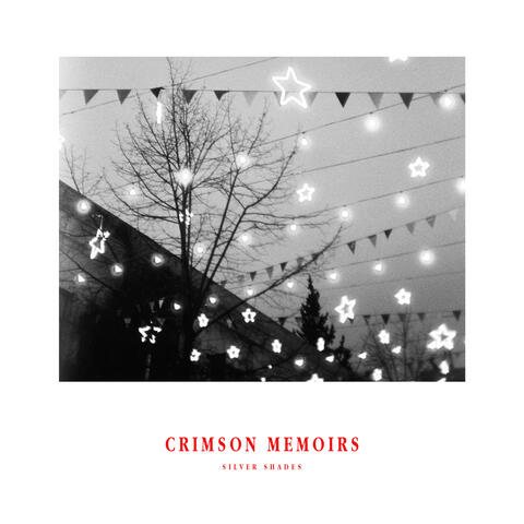 Silver Shades album art