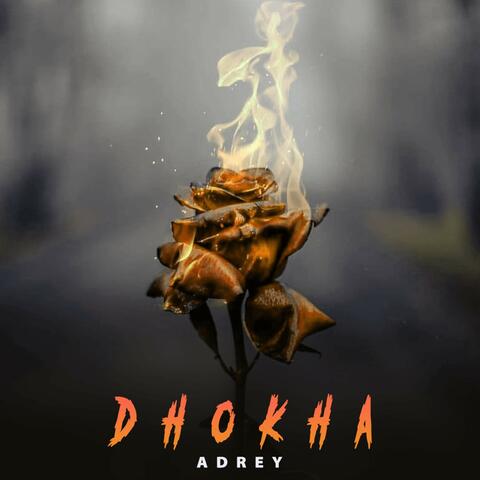 Dhokha album art
