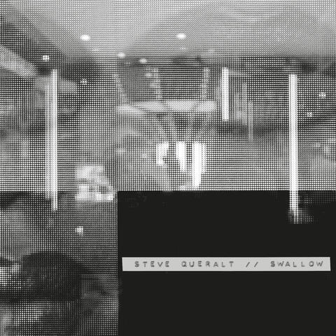 Swallow album art