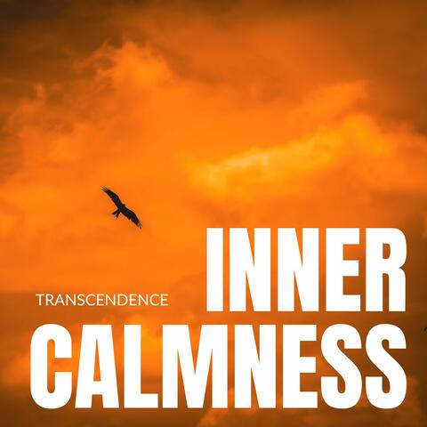 Transcendence album art