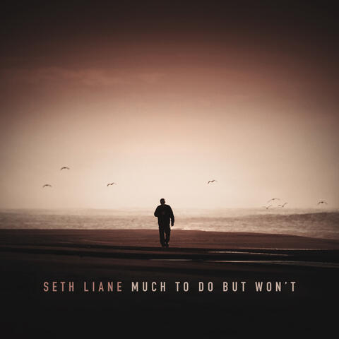 Much to Do but Won’t album art