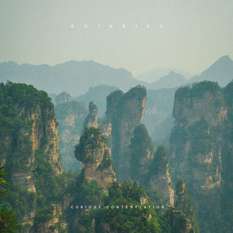 Curious Contemplation album art