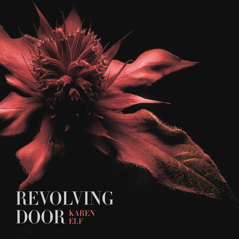 Revolving Door album art