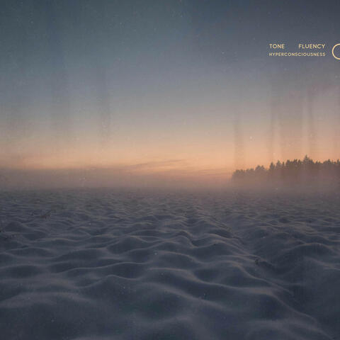 Hyperconsciousness album art