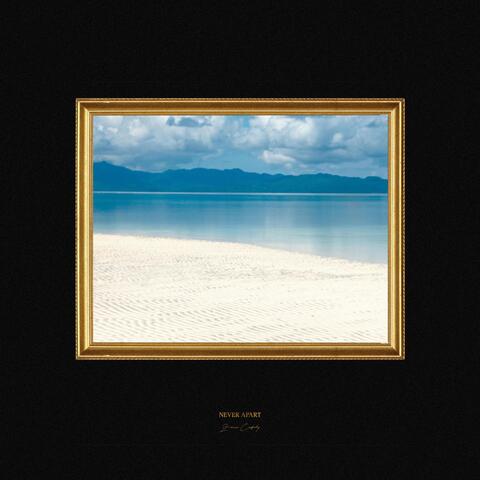 Never Apart album art