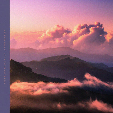 Introspection album art