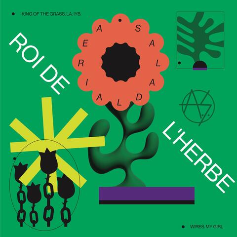 Roi De L'Herbe album art