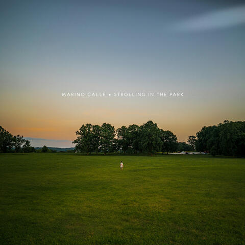 Strolling in the park album art