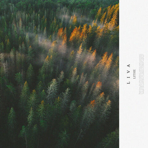 Lithe album art