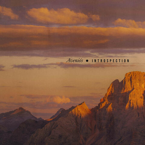 Introspection album art