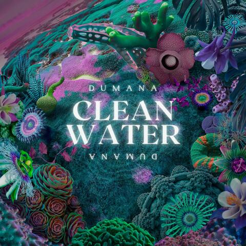 Clean Water album art