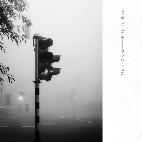 Held in Haze album art