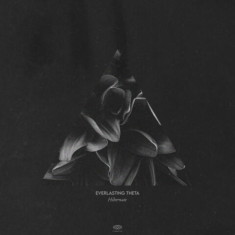 Hibernate album art