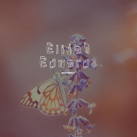 Butterfly album art