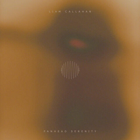 PanHead Serenity album art