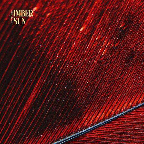 still frame album art