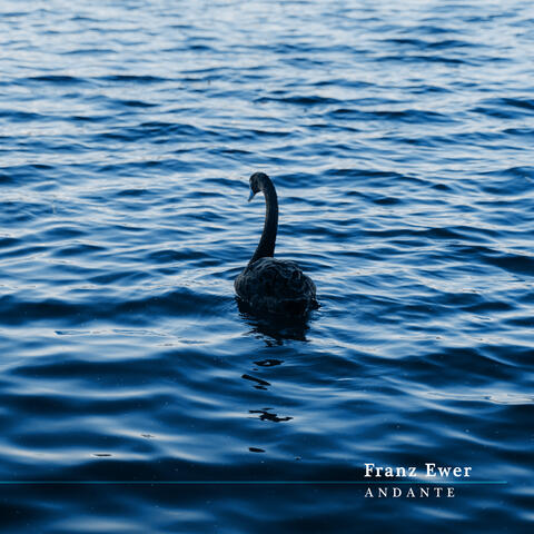 Andante album art