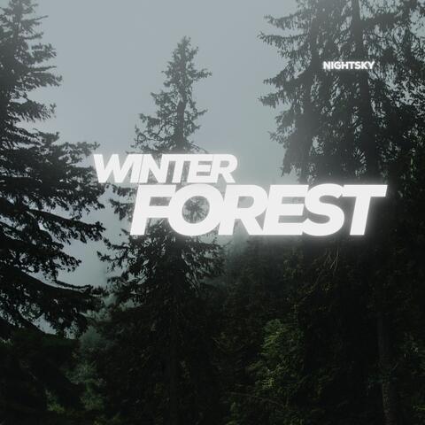 Winter Forest album art