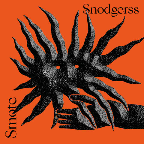 Snodgerss album art