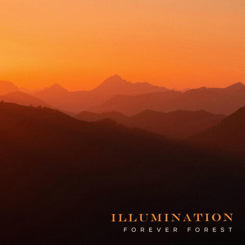 Illumination album art