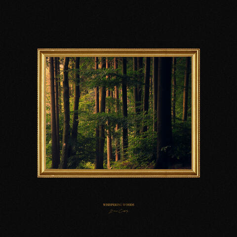 Whispering Woods album art
