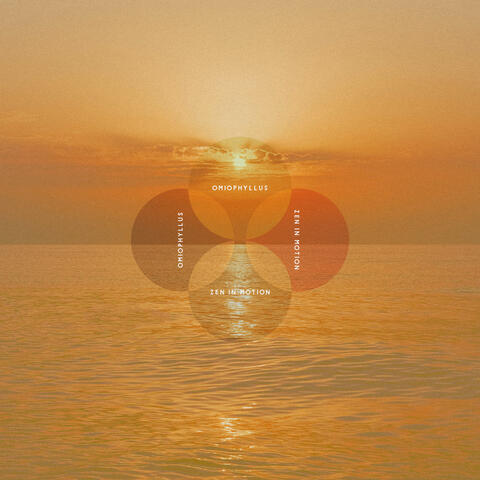 Zen In Motion album art