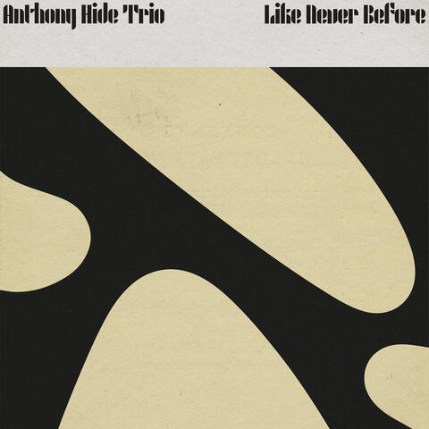 Like Never Before album art