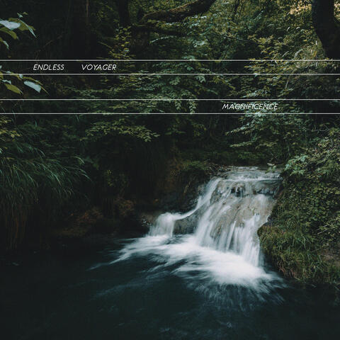 Magnificence album art