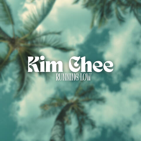 Running Low album art