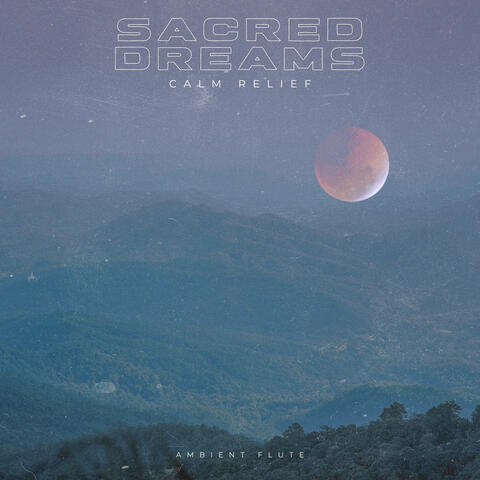 Calm Relief album art