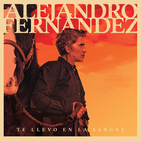 Te Llevo En La Sangre album art