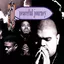 Peaceful Journey album artwork