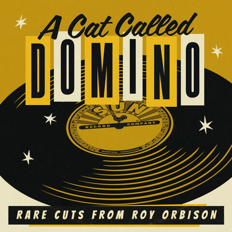 A Cat Called Domino: Rare Cuts from Roy album art