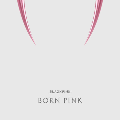BORN PINK album art