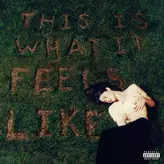 Image of This Is What It Feels Like