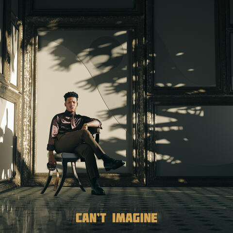 Can’t Imagine album art