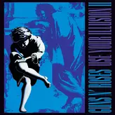 Image of Use Your Illusion II