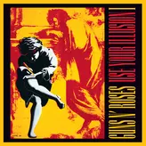 Image of Use Your Illusion I